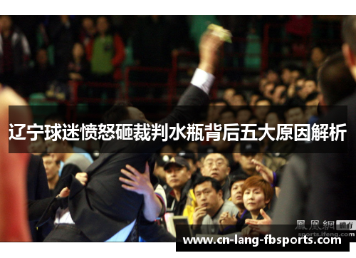 辽宁球迷愤怒砸裁判水瓶背后五大原因解析