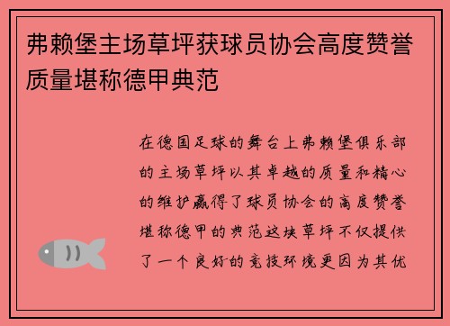弗赖堡主场草坪获球员协会高度赞誉质量堪称德甲典范